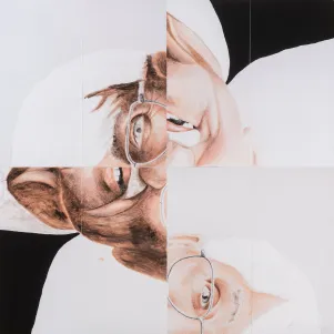 Eine vierteilige Collage von Habermas.