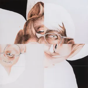 Eine vierteilige Collage von Habermas. 