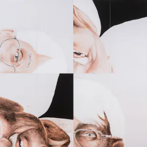 Eine vierteilige Collage von Habermas. 