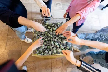 Sechs Hände greifen in eine große Box mit hunderten Pralinen